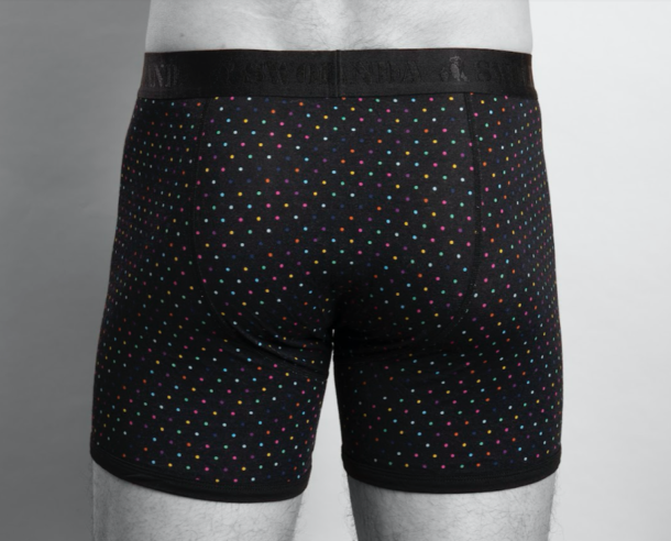 Swole Panda Bamboo Boxers – Multi Dots / Black Band - Image 2